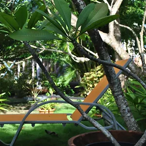 Caribbean Dream Guest house